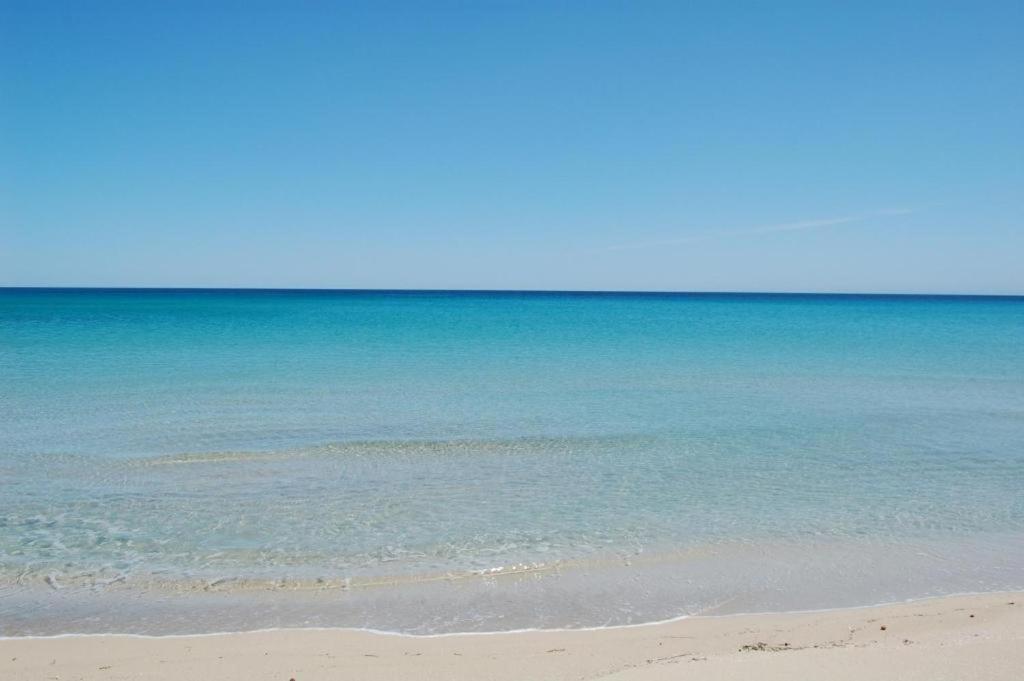 Dimora Brezza Di Mare Apartman Termoli Kültér fotó